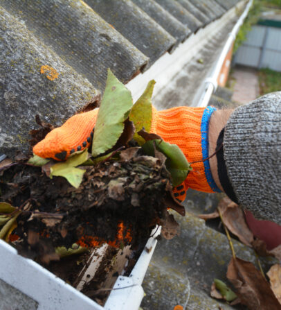 A,Man,Is,Cleaning,A,Clogged,Roof,Gutter,From,Dirt,