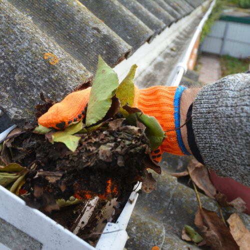 A,Man,Is,Cleaning,A,Clogged,Roof,Gutter,From,Dirt,